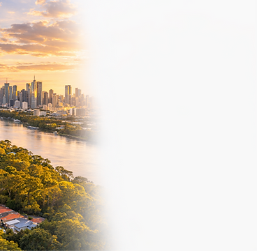 Termites are very common in Brisbane