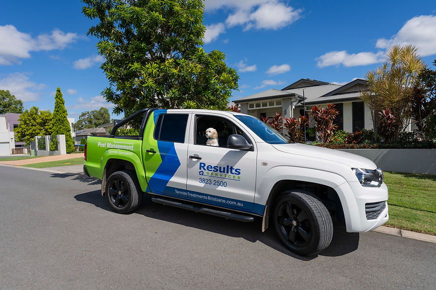 Termite Protection for Wynnum Brisbane