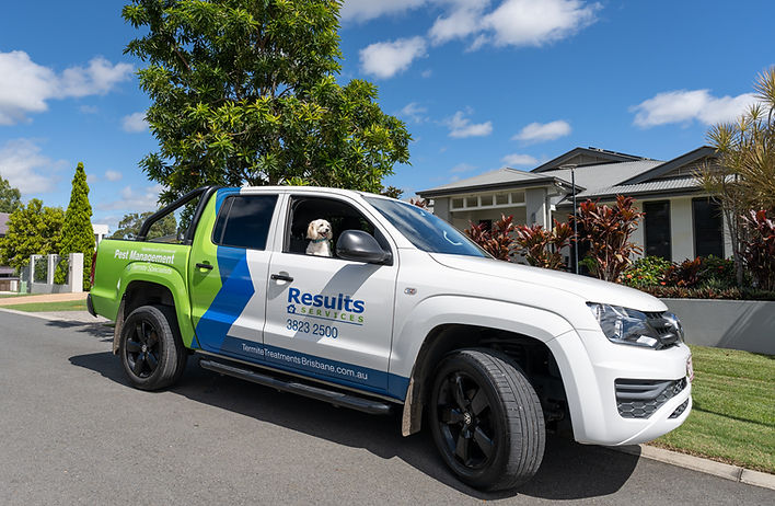 Termite and Pest Control Brisbane.jpg