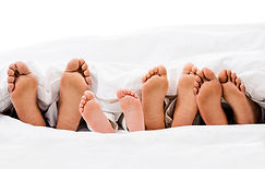 Bed bug pest control