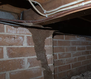 Subfloors are one of the most common areas where termites enter Brisbane homes.