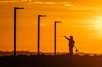 Wynnum Pest Control Company