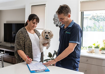 Protect Your Brisbane Home From Termite Damage
