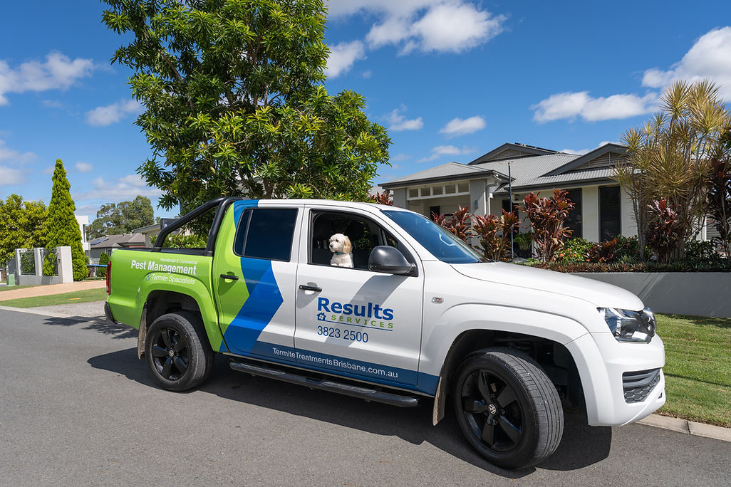 Results Termite and Pest Control Service