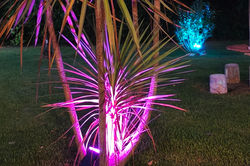 Escapada de fin de semana a Belén de Escobar