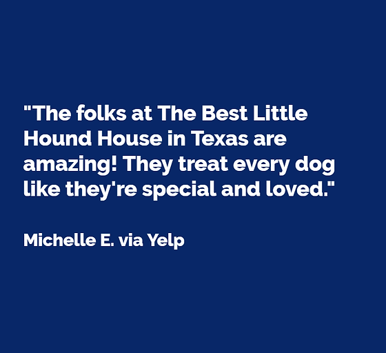 best little hound house