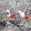 Thumbnail: Handmade papier mâché Cornish seagull character a unique gift for the home