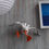 Thumbnail: Medium Wall Mounted Seagulls