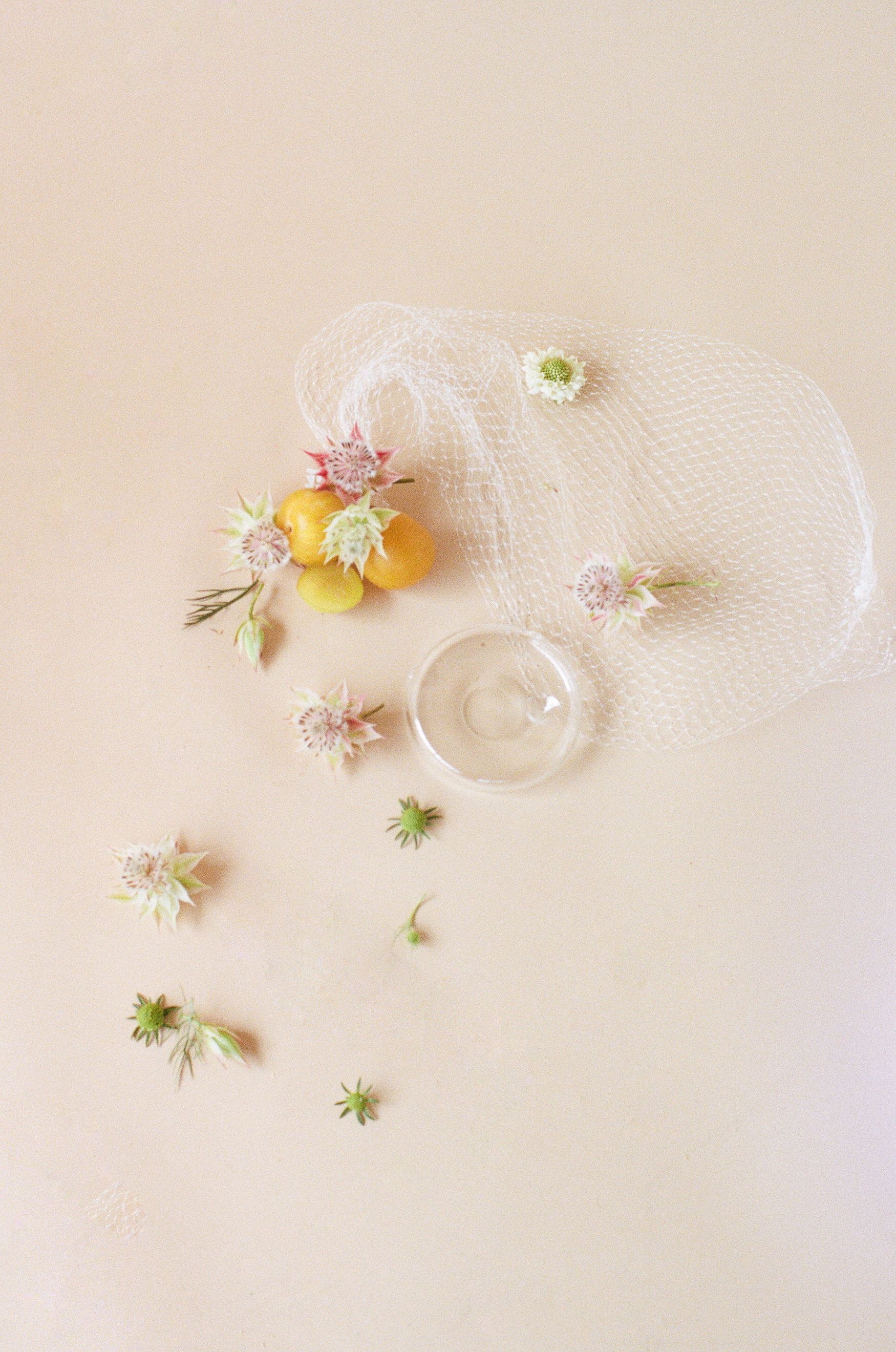 Modern Pipes Laundry Day