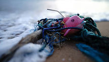 strandskräp.jpg