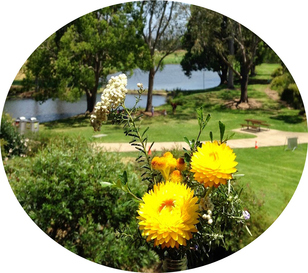 Pack a picnic and join us for a relaxing, social day surrounded by nature at Benowa Botanical Gardens