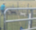 62718EB0-2403-4888-875D-7F21BAA72736.jpeg