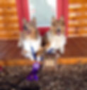 3CE3BE1F-798A-4364-9CD7-3BD759172837.jpeg