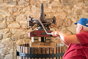 CreuxAlice-Vendanges_Clos_des_Esses_Couet-20260912-Dossier_complet-141.jpg
