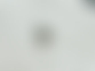 Nature is chasing me and Homeschool Update!