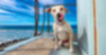 TOT%2520Murphy_edited_edited.jpg