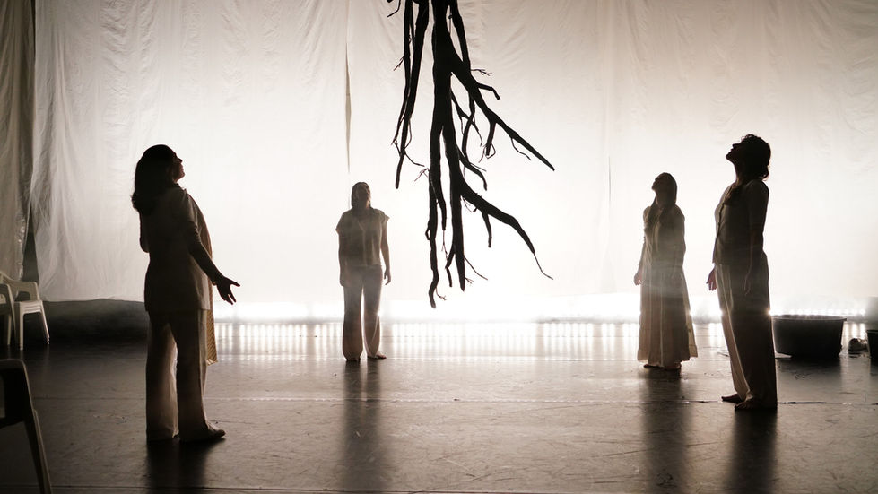 "Play of Revelation" ©Steven M. Schultz