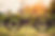 SCOR_4060_purple_LT_sideview-scaled.jpg
