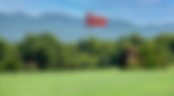 Golf with Flag.png