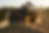 envato-labs-image-edit (10).png