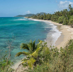 A nearby beach