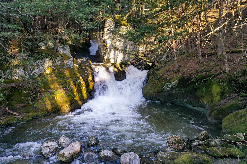 DJI_0149.jpg
