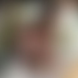 Functional medicine registered nurse starting her own practice telemedicine and researching her scope of practice