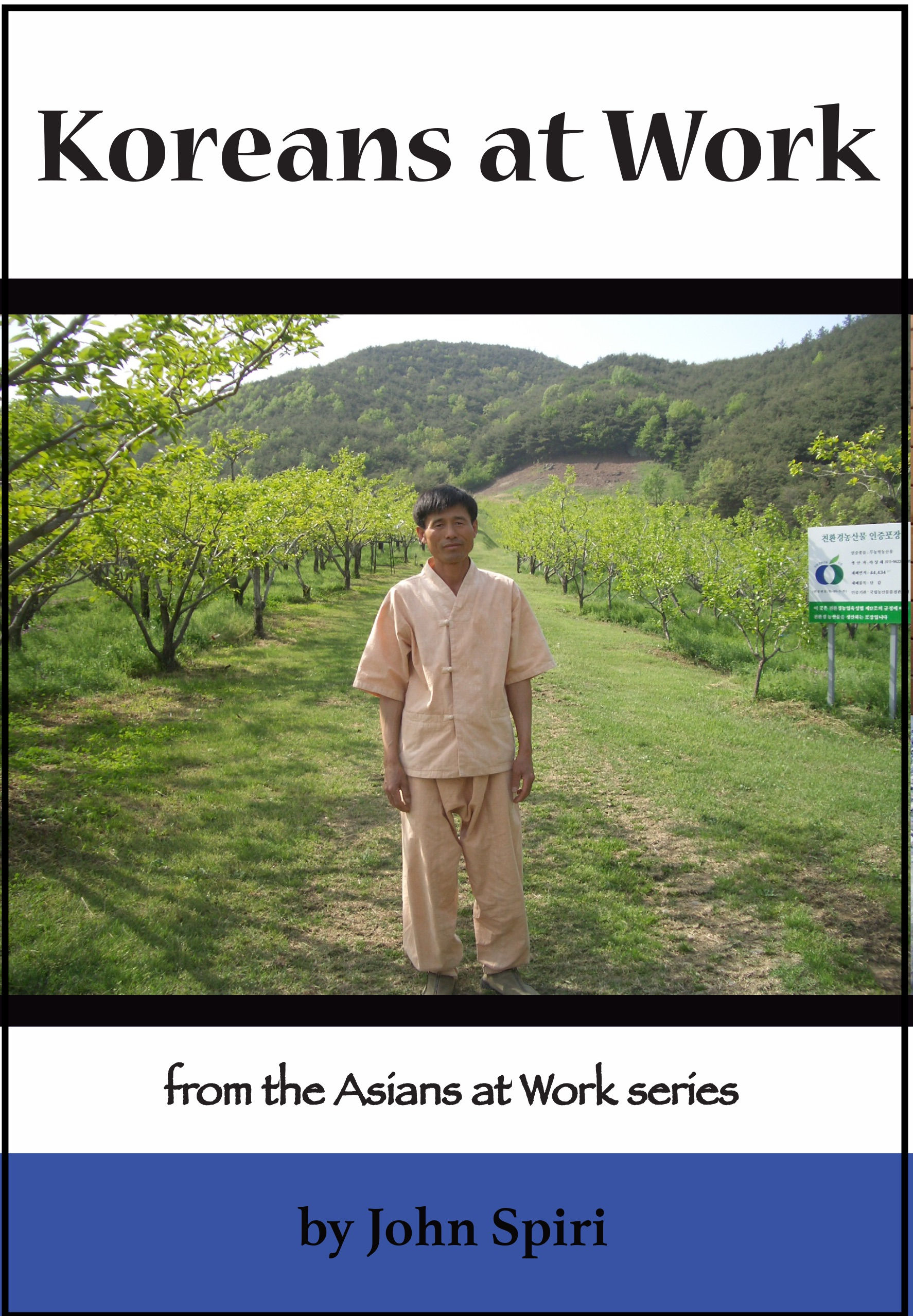 Koreans at Work