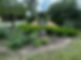 IMG_5560.jpeg
