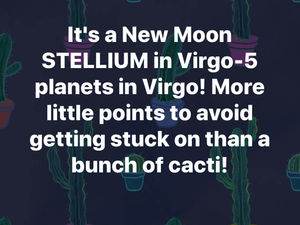 don't get hung up on little points