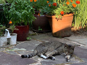 tips for mid-summer burnout