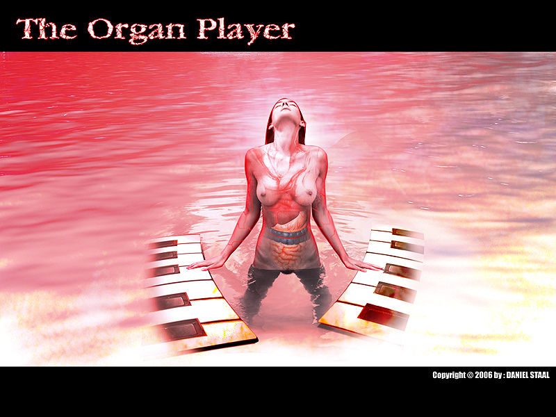 the_organ_player