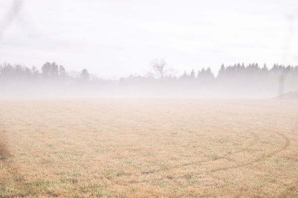 HomeFog-18 copy.jpg