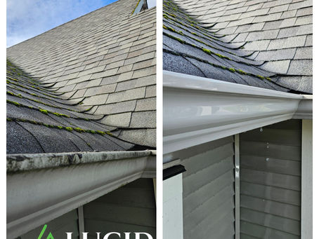 When Should You Soft Wash Your House?