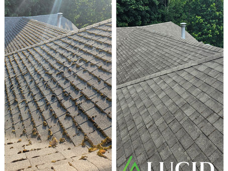 Moss Removal: Why Waiting Can Damage Your Roof in the Fraser Valley