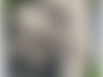 How Much Does Roof Cleaning Cost in Chilliwack & the Fraser Valley?