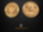 Thumbnail: Image from the T2 Woodworks product page showing two round, wooden challenge coins.  The coin on the left reads "COMMANDING OFFICER CDR ROBERT BELFLOWER" with a central emblem.  The coin on the right reads "HONEY BADGERS HUMBLE APPROACHABLE CREDIBLE" with a badger graphic.  