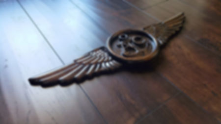 Aircrew Wings