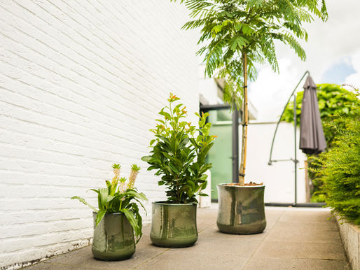 Linha Floresta: Viva o Verde!