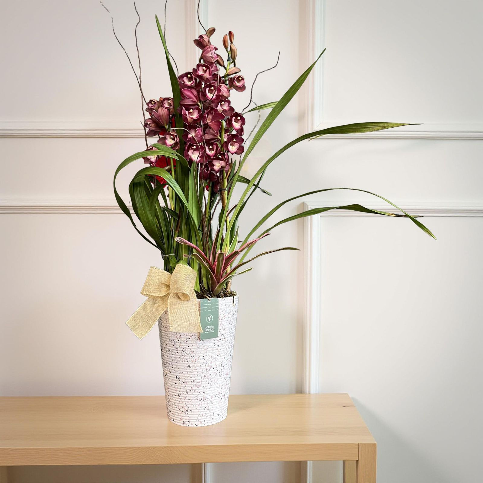 Orquídea Cymbidium em Vaso Decorativo