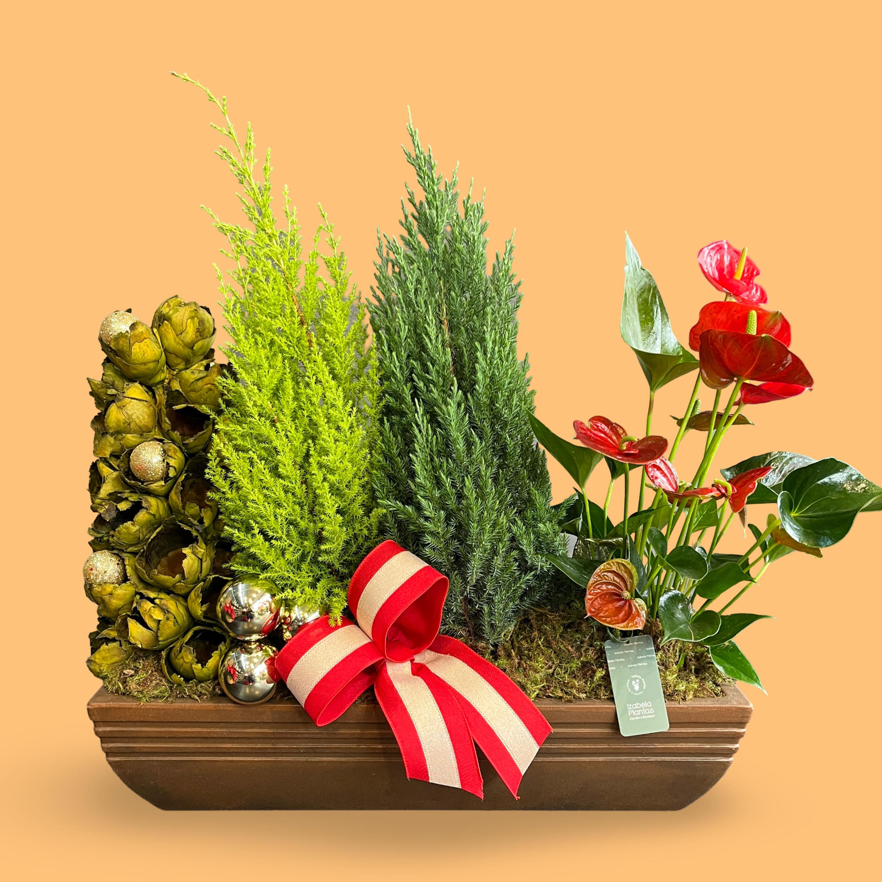 Jardineira Decorativa