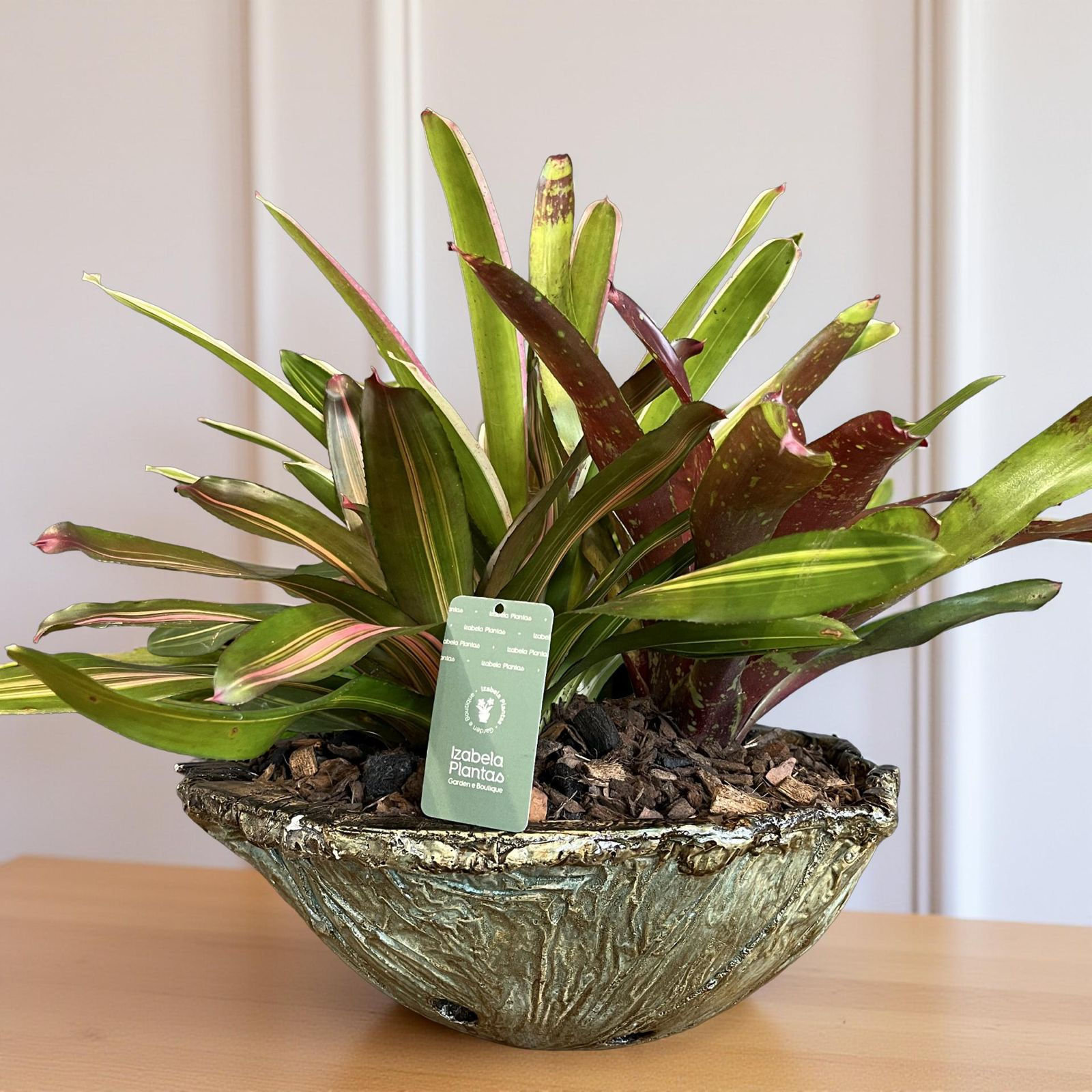 Gamela com Bromélia