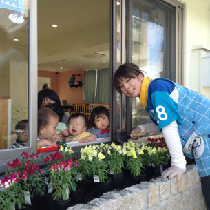 花壇の植え替え