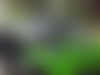 Caminhos das Serras anuncia parceria inédita com a Kawasaki para 2026