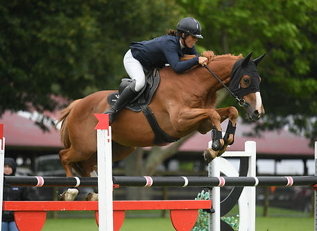 A chestnut horse jumping over a show jump