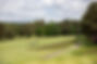Four golfers walking down the first fairway at Camberley Heath