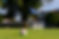 Burhill_020_extend2.jpg