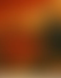 La universidad en tiempos de SACAU