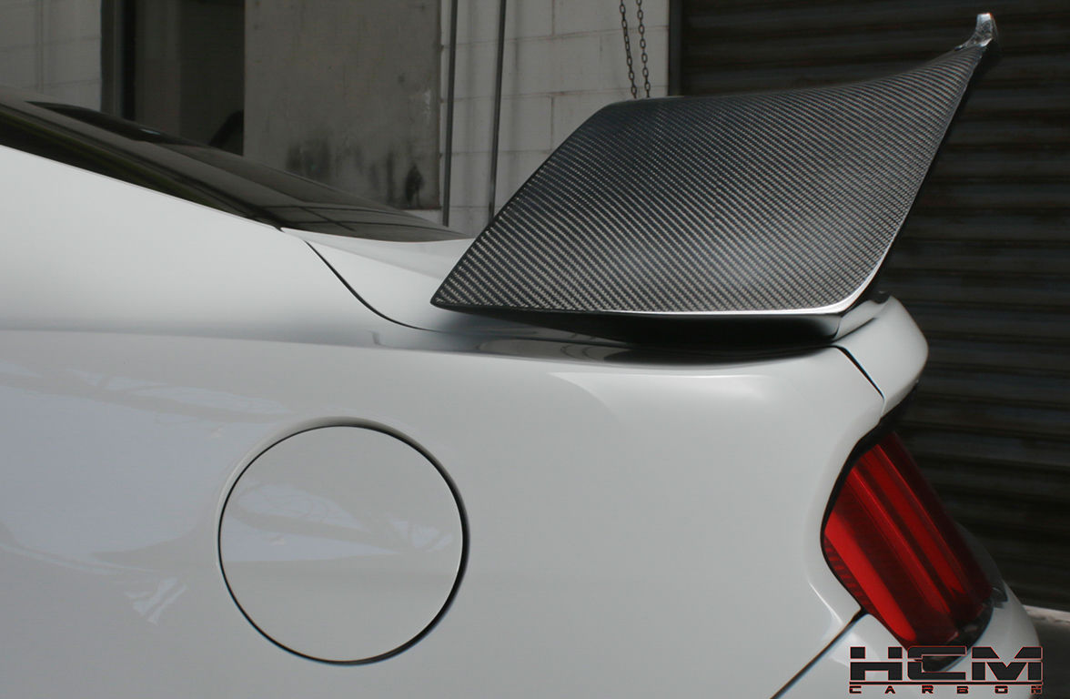 2015 - 2019 Mustang GT350RR Carbon Fiber Spoiler