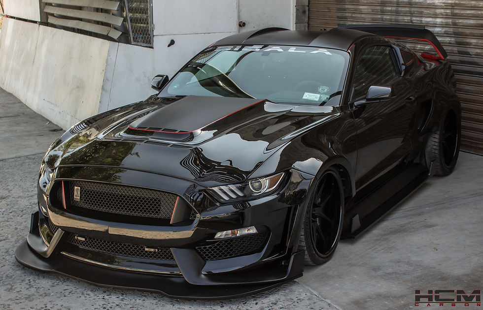 Thumbnail: 2015 - 2019 Mustang GT350RR Fiberglass Roof